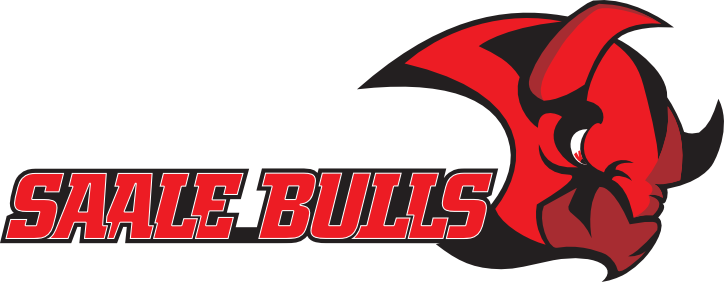 Saale Bulls